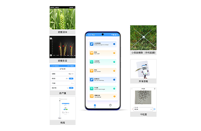 荆州市小麦表型检测仪IN-XM04