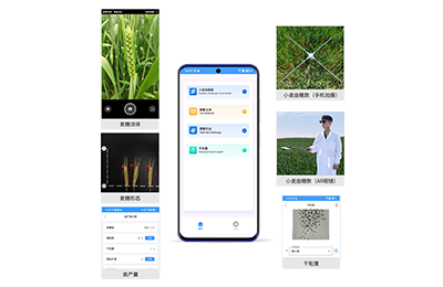荆州市小麦亩穗数分析仪IN-XM02